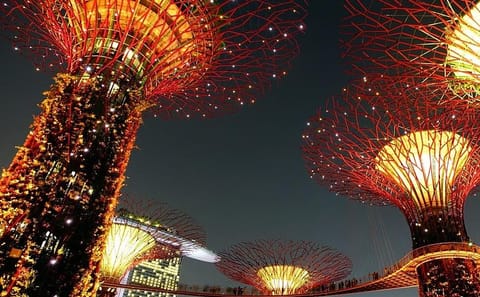 Gardens by the Bay Admission Ticket in Singapore