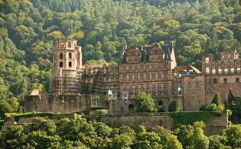 Private Guided Tour of Heidelberg Old Town and Castle