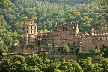 Private Guided Tour of Heidelberg Old Town and Castle
