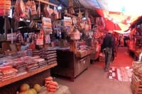 Zanzibar Cultural and Turtle Experience Tour 4