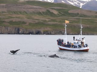 7 Day - Complete Iceland - Adventure Package , photo 7