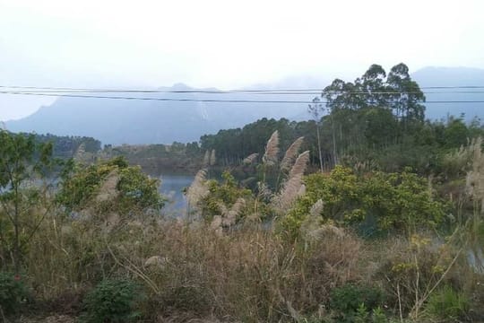 Private Day Tour to Mt Nankun Hot Springs from Guangzhou