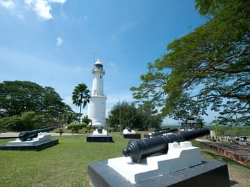 Kuala Selangor Fireflies and Seafood Dinner Night Tour