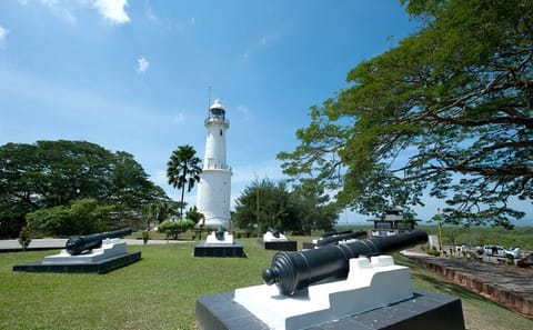 Kuala Selangor Fireflies and Seafood Dinner Night Tour
