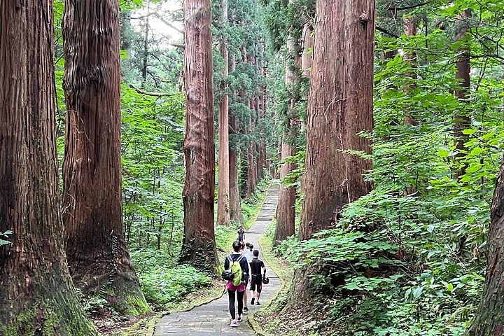 Mount Haguro E-Bike Sightseeing Tour in Yamagata, Japan