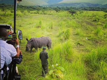 Bombo Lumene Natural Reserve Safari and Congo River Adventure