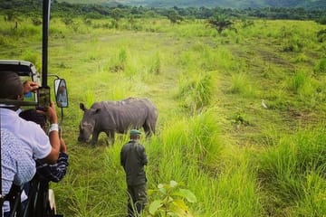 Bombo Lumene Natural Reserve Safari and Congo River Adventure