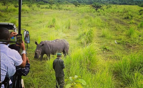 Bombo Lumene Natural Reserve Safari and Congo River Adventure
