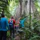 Hiking in the jungle
