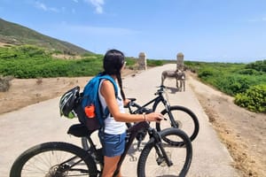 Rent an e-bike and discover Asinara from Porto Torres