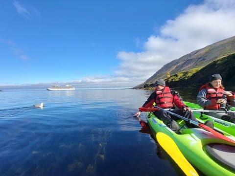 Private: Guided kayak tour in Siglufjörður / Siglufjordur., photo 5