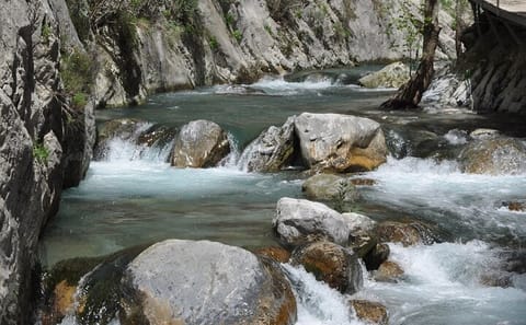 Sapadere Canyon and Waterfall Adventure Tour from Alanya