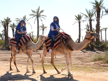 Marrakech palm Grove by camel trik