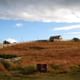 Estancia Harberton