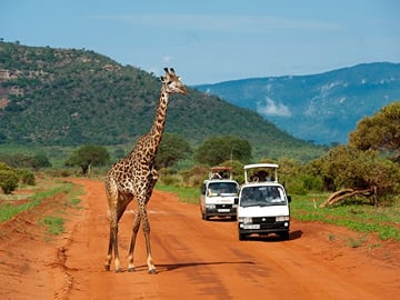 1 Day Tsavo East Safari Trip From Diani/Mombasa