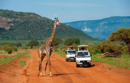 1 Day Tsavo East Safari Trip From Diani/Mombasa