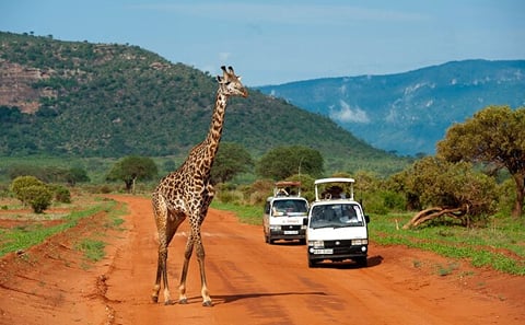 1 Day Tsavo East Safari Trip From Diani/Mombasa