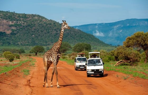 1 Day Tsavo East Safari Trip From Diani/Mombasa