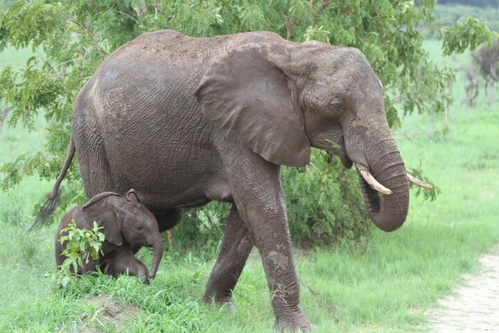 15 minutes scenic helicopter flight above Victoria Falls-Zimbabwe