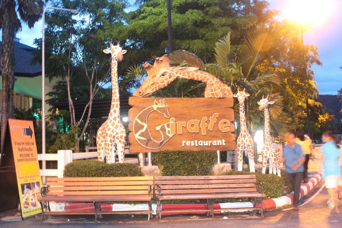Chiang Mai Day or Night Safari Park 6