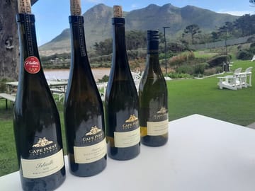 Wine Tasting Tour at Groot Constantia and Table Mountain Garden