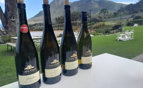 Wine Tasting Tour at Groot Constantia and Table Mountain Garden