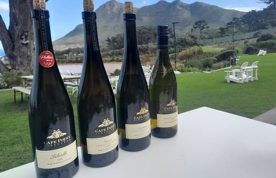 Table Mountain Botanical Garden Wine Tasting at Groot Constantia