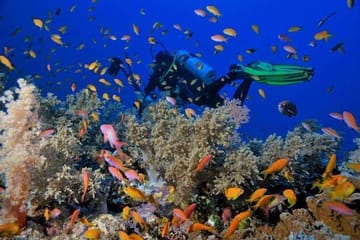Snorkeling Adventure at Ras Mohamed National Park, Egypt