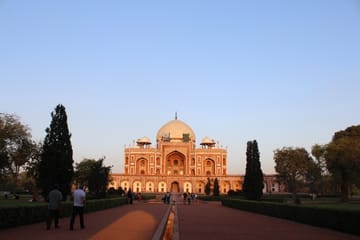 Wildlife and Cultural Tour of Delhi, Agra, and Bhopal