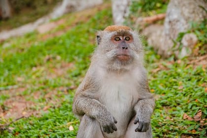 Private Kanching Waterfalls with Batu Caves & Ramayana Caves Tour