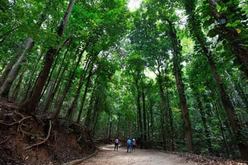 Udawatte Kele Santuary with Nature Walk from Kandy
