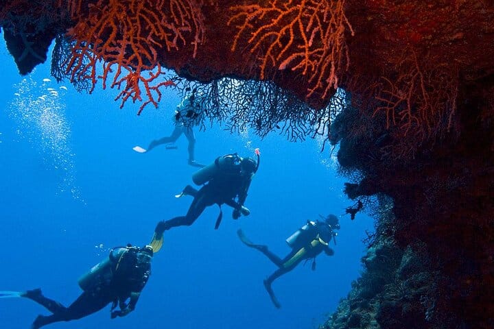 sharm el sheikh safari trip