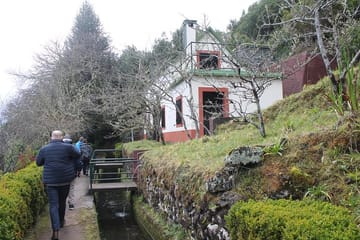 4x4 Tour of Caniço and Porto Moniz's Volcanic Landscapes