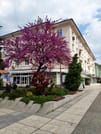 Audio Guide for All Sliven & Yambol Sights, Attractions or Experiences 6