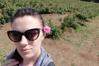 Private Rose Picking in Vrav along the Danube 6