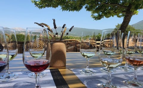 Private Half-Day Adventure Tour of Kefalonia Highlights