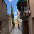 A narrow back alley with houses to the left and right