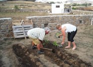 Visit the Farm - Enjoy Animals and Nature in Mykonos 5