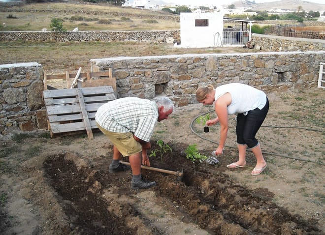 Visit the Farm - Enjoy Animals and Nature in Mykonos 5