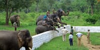 A Private Day Tour from Mysore to Coorg 7