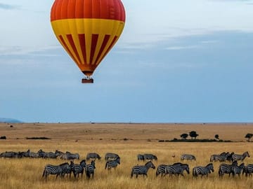 5Day Wild Heart Masai Mara, Nakuru and Naivasha Tour