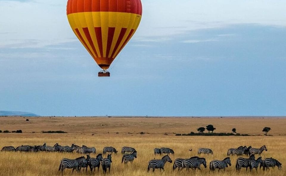 5Day Wild Heart Masai Mara, Nakuru and Naivasha Tour