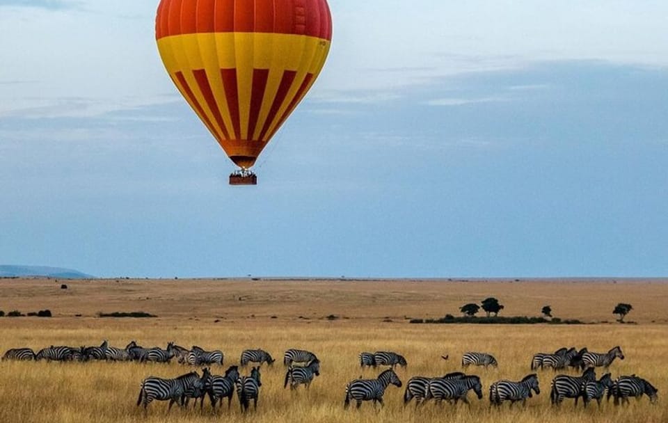 5Day Wild Heart Masai Mara, Nakuru and Naivasha Tour