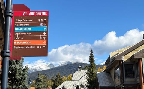 Private Full Day Tour of Whistler and Shannon Falls