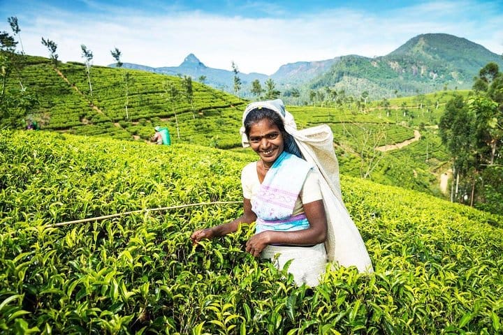 Highlights Of Sri Lanka – 4 Days