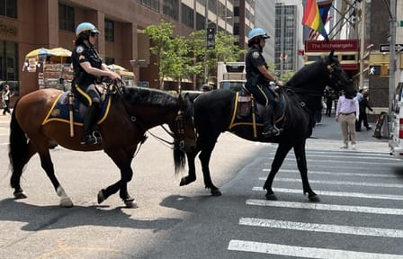 Manhattan Highlights Walking Tour: Central Park and Luxury Areas