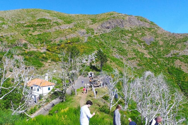 Amazing Skywalk, Madeira Wine Tasting and more... Half day in Open Roof 4x4 photo 6