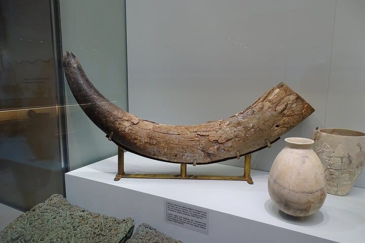 Skip the Line-Archaeol Museum/Knossos Palace-Private Guided Tour  7