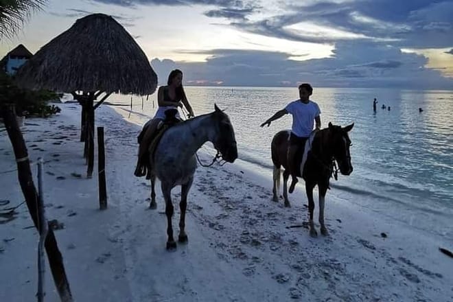 Horseback Riding on the Beaches of Holbox photo 3