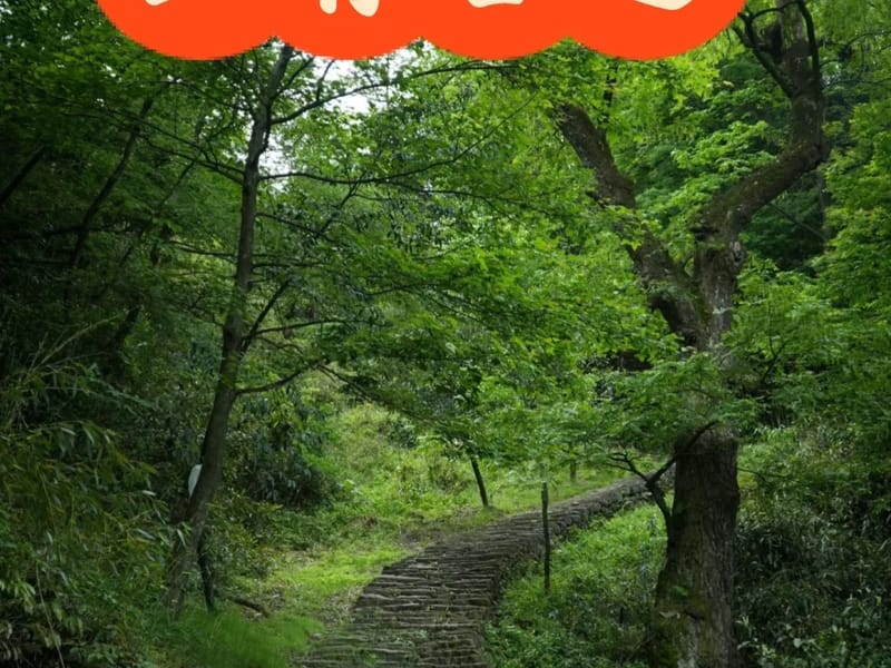 Shanghai: Shangqing Ancient Trail Private Day Trip